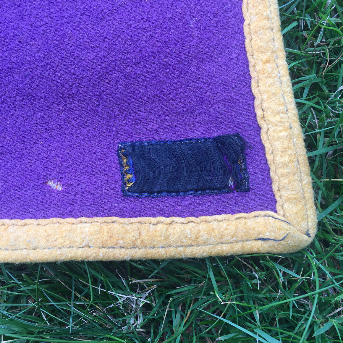 Washington Huskies stadium blanket