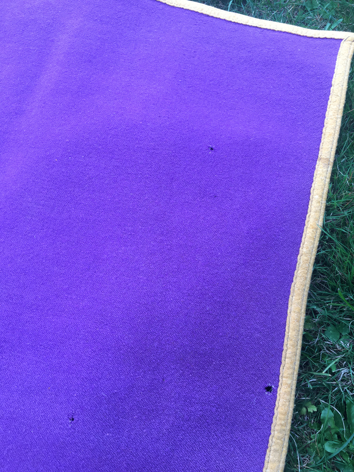 Washington Huskies stadium blanket