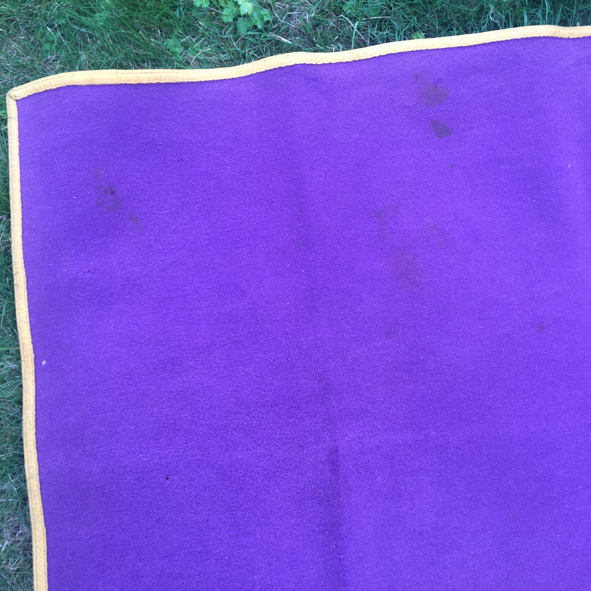 Washington Huskies stadium blanket