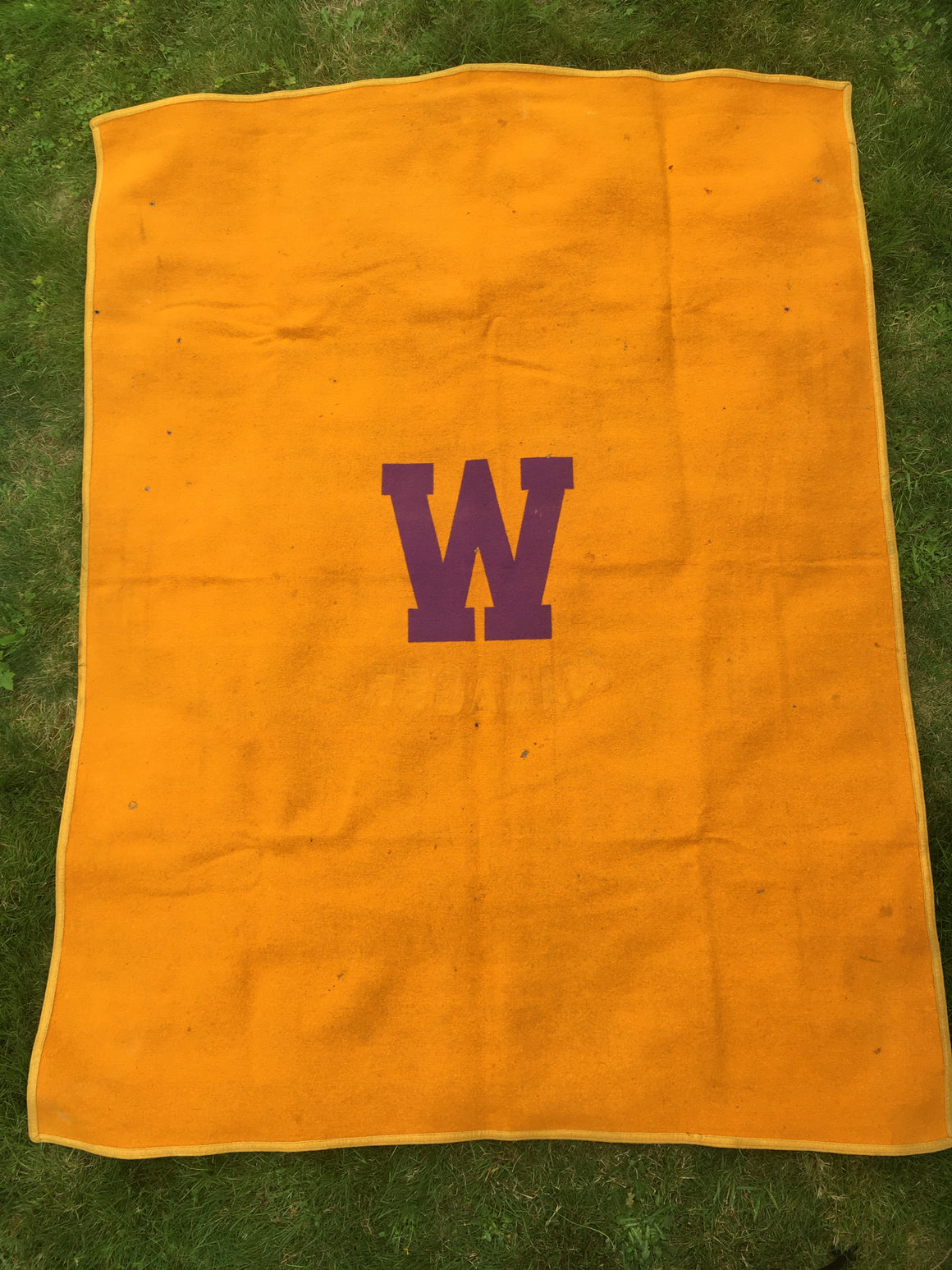 Washington Huskies stadium blanket