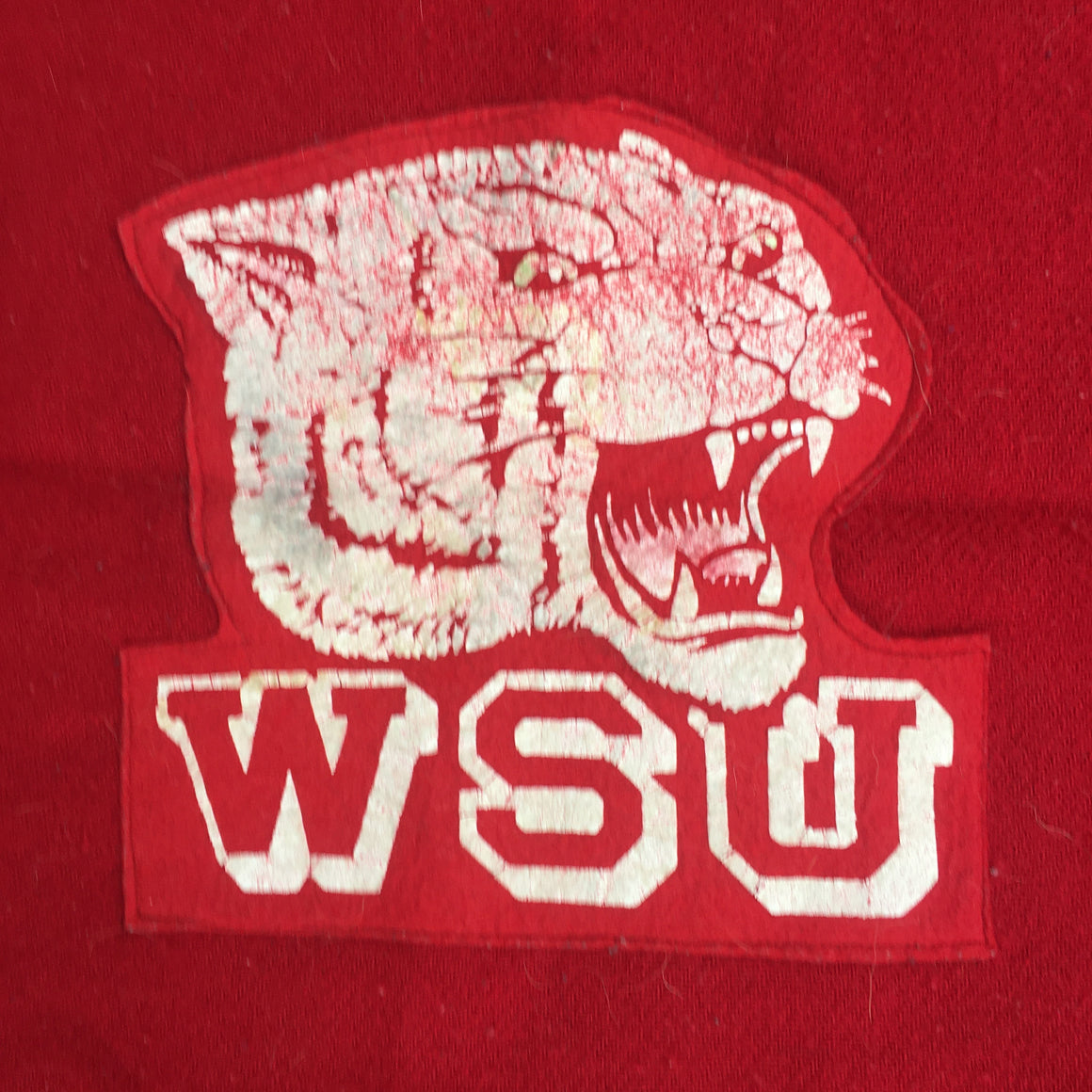 WSU Cougars Pendleton blanket