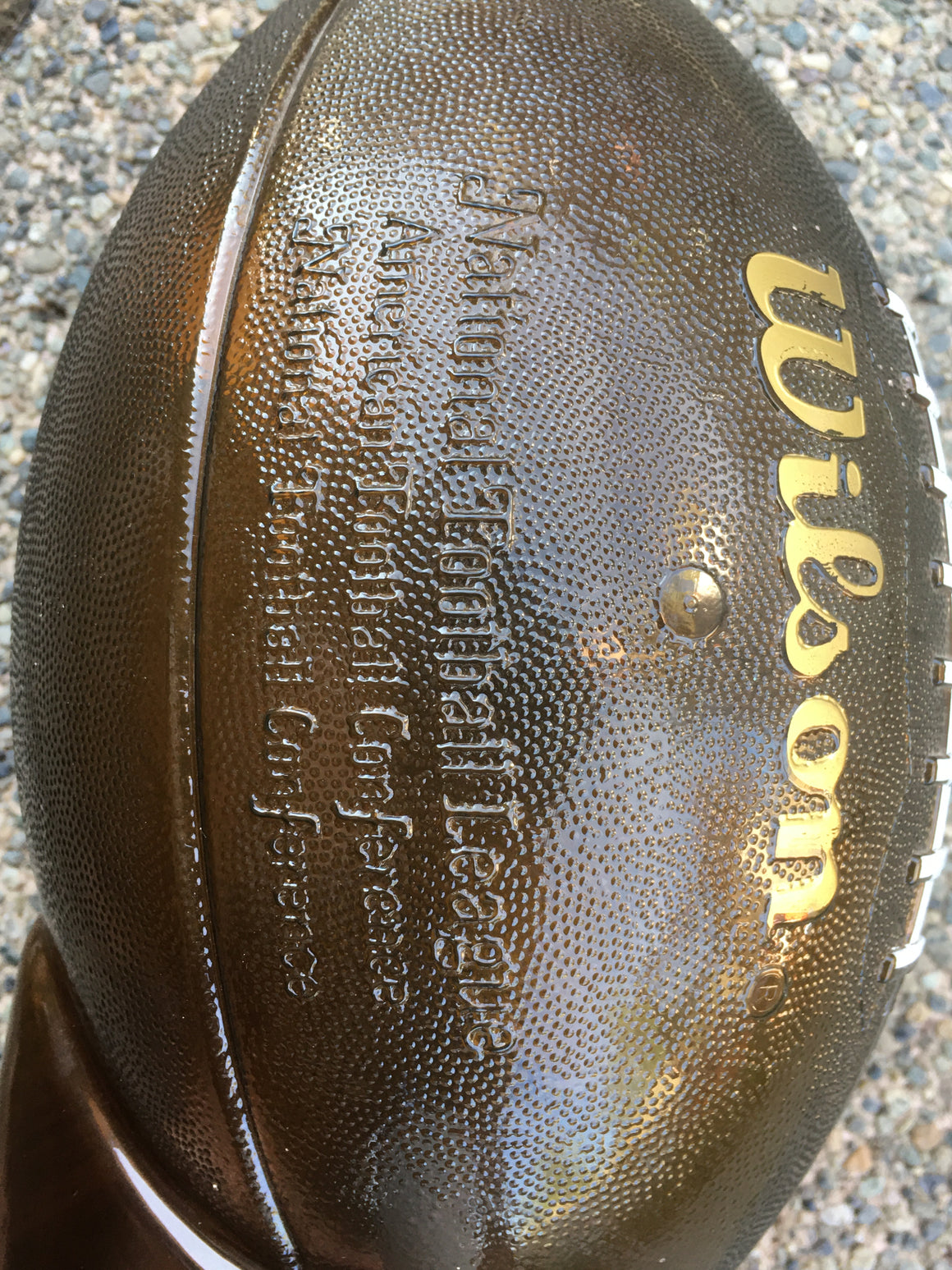 Seattle Seahawks snack container trophy