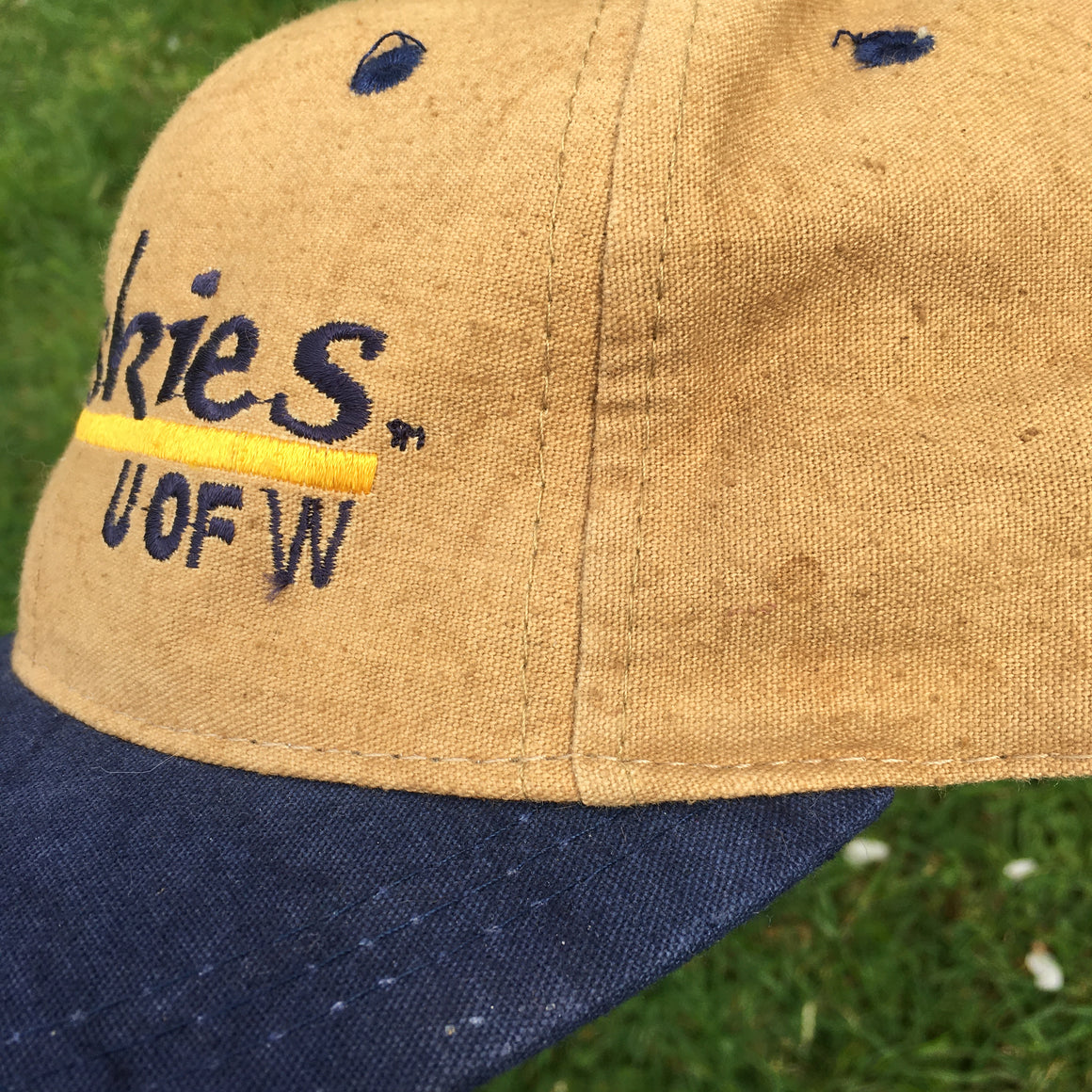 Vintage Washington Huskies hat