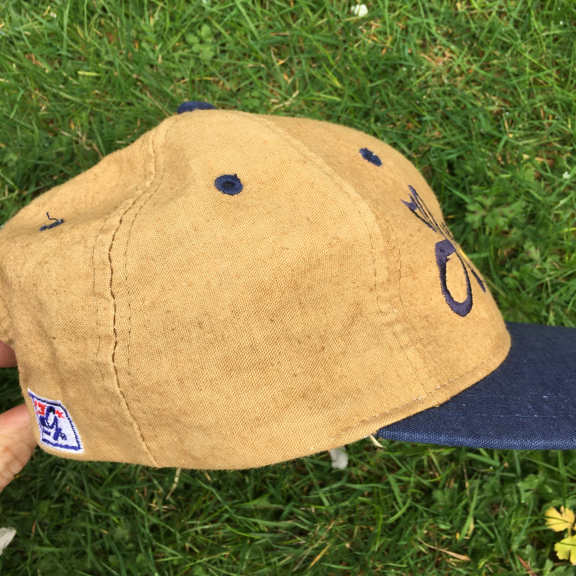 Vintage Washington Huskies hat