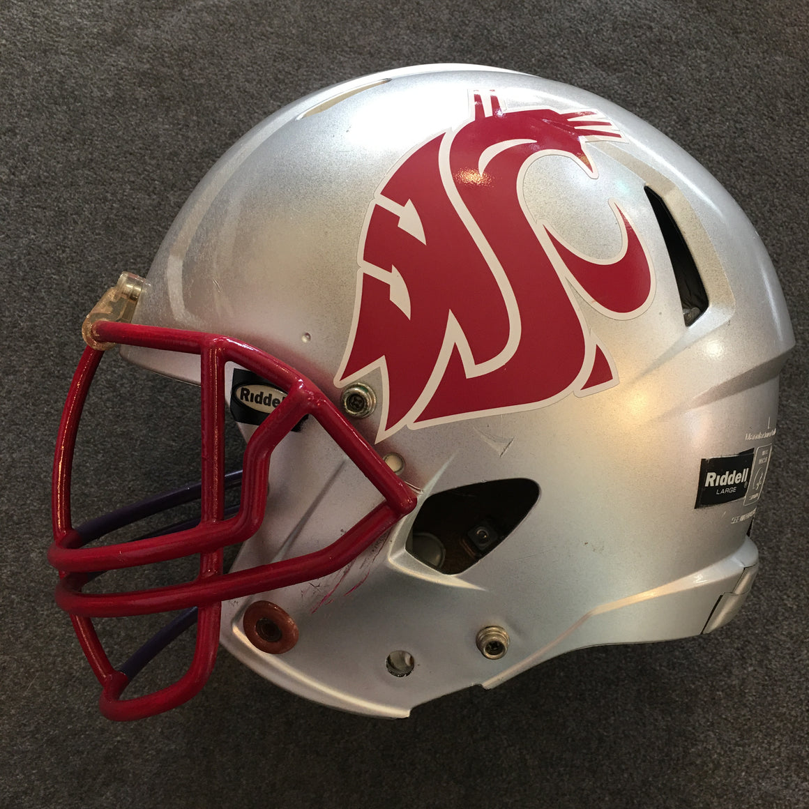 Apple Cup Helmet