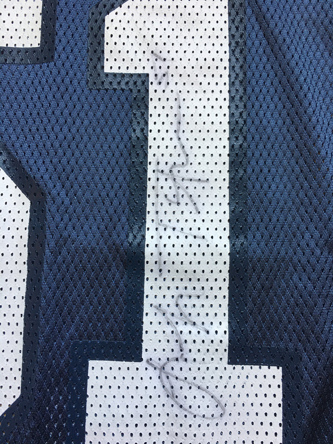 Seattle Seahawks Signed Lofa Tatupu jersey - XL