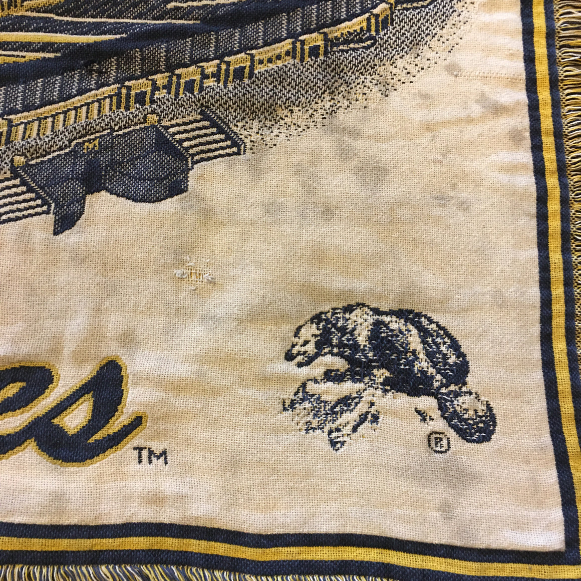 Michigan Wolverines Stadium blanket