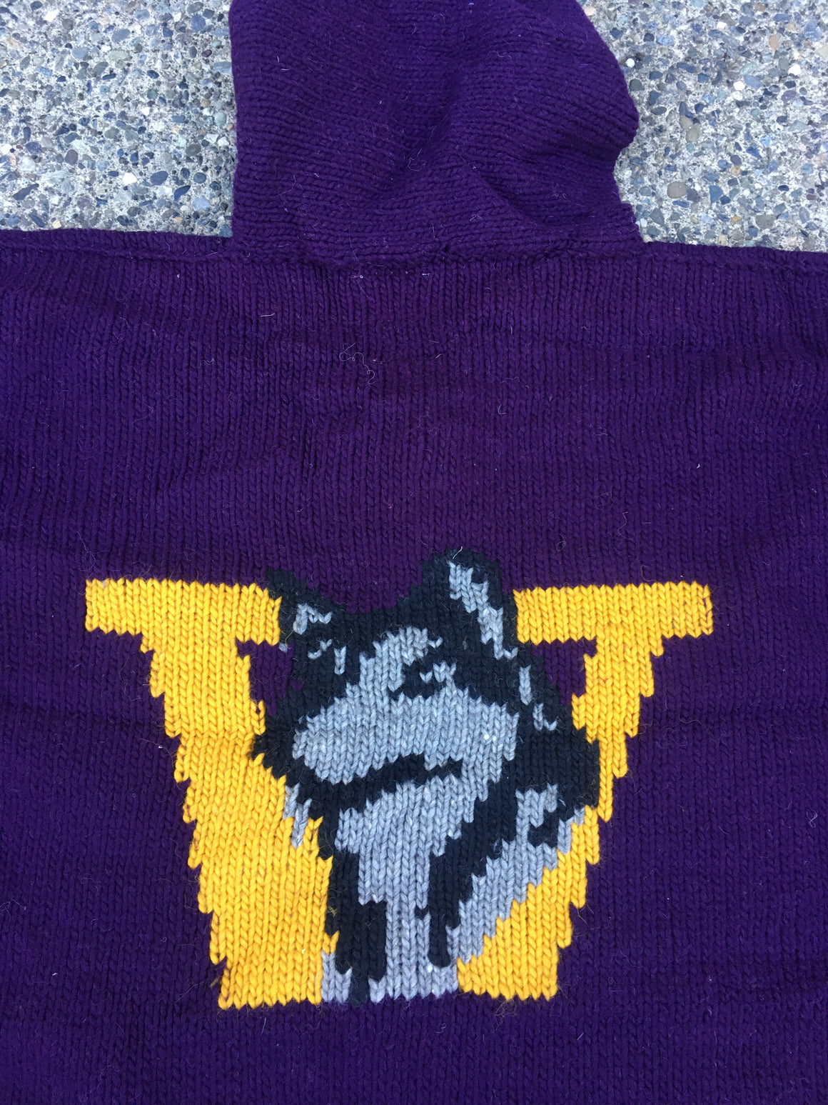 Washington Huskies hooded sweater - L